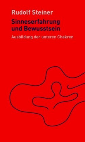 Buch Sinneserfahrung und Bewusstsein Harald Haas