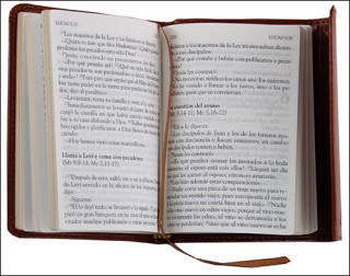 Książka Los santos Evangelios EVARISTO MARTIN NIETO