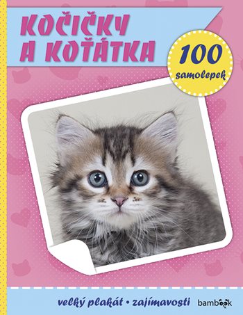Książka Kočičky a koťátka 