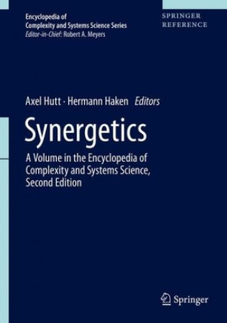 Könyv Synergetics Axel Hutt