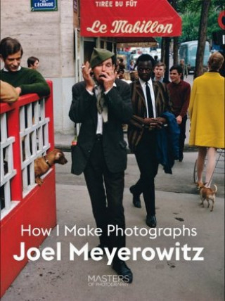 Książka Lizenz zu sehen: Joel Meyerowitz 