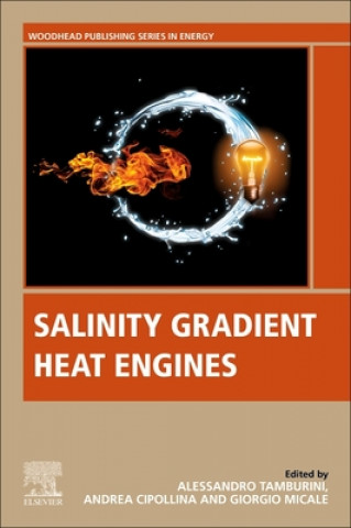 Buch Salinity Gradient Heat Engines Giorgio Micale