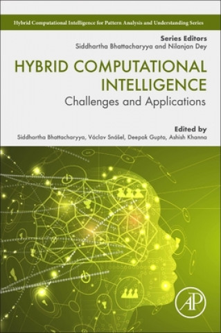 Kniha Hybrid Computational Intelligence Vaclav Snasel