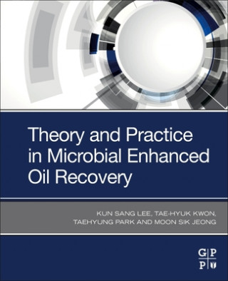 Książka Theory and Practice in Microbial Enhanced Oil Recovery Tae-Hyuk Kwon