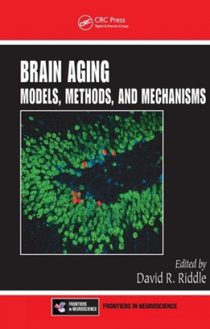 Kniha Brain Aging 