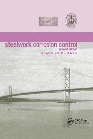 Kniha Steelwork Corrosion Control David Bayliss