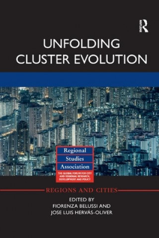 Buch Unfolding Cluster Evolution Fiorenza Belussi