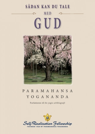 Book How You Can Talk With God (Danish) 