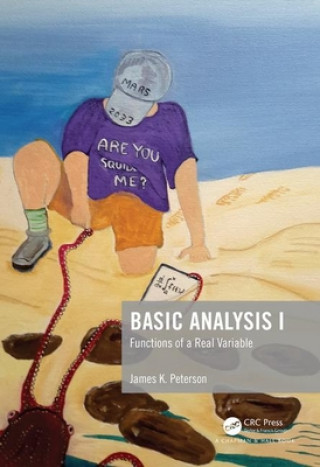 Книга Basic Analysis I Peterson