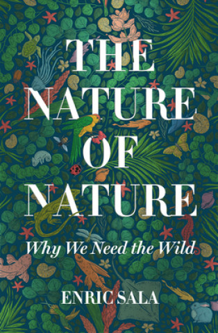 Kniha Nature of Nature 