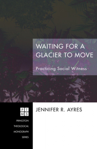 Buch Waiting for a Glacier to Move Jennifer R. Ayres