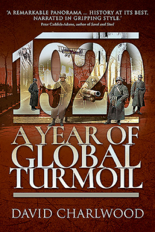 Kniha 1920: A Year of Global Turmoil DAVID CHARLWOOD