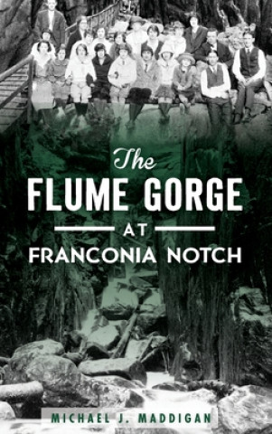 Knjiga The Flume Gorge at Franconia Notch Michael J. Maddigan