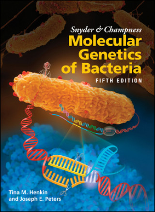 Kniha Snyder and Champness Molecular Genetics of Bacteria, 5th Edition Joseph E. Peters