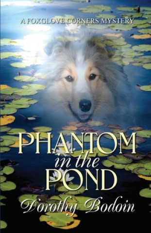 Boek Phantom in the Pond Dorothy Bodoin
