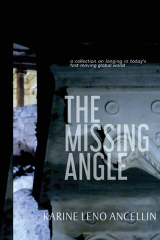 Knjiga Missing Angle Karine Leno Ancellin