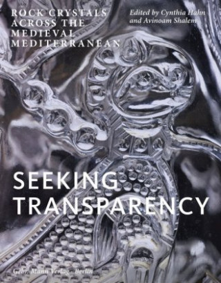 Könyv Seeking Transparency Cynthia Hahn