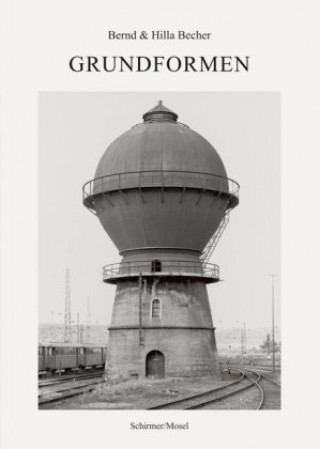 Kniha Grundformen / Formes élémentaires Thierry De Duve