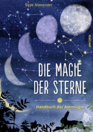 Kniha Die Magie der Sterne (Altes Wissen und magische Kräfte) Regina Schneider