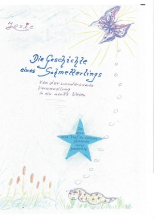 Boek Geschichte eines Schmetterlings Karin Schäfer
