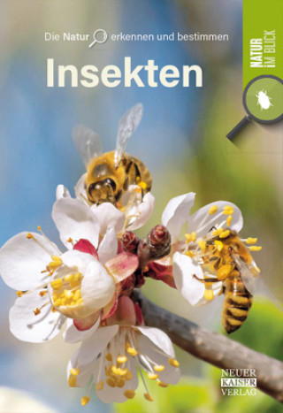 Kniha Insekten 