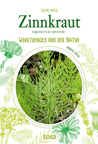 Kniha Zinnkraut 