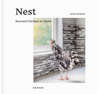 Boek Nest Janet Holmes