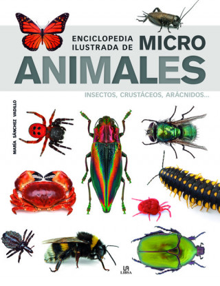 Kniha Enciclopedia Ilustrada de Micro Animales MARIA SANCHEZ VADILLO