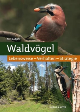 Kniha Waldvögel 