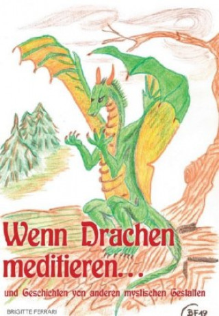 Kniha Wenn Drachen meditieren ... Brigitte Ferrari