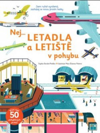 Könyv Nej... Letadla a letiště v pohybu Sophie Bordet-Petillon