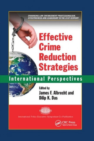 Kniha Effective Crime Reduction Strategies 