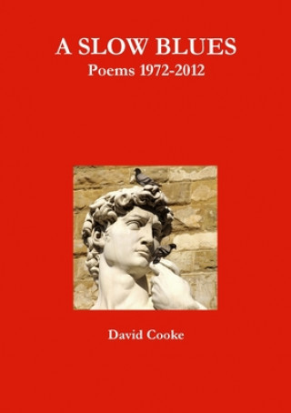 Kniha Slow Blues David Cooke