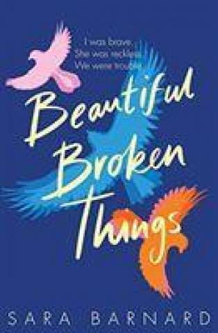Book Beautiful Broken Things Sara Barnard