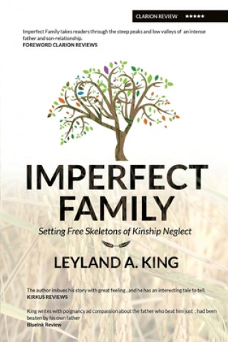 Knjiga Imperfect Family 