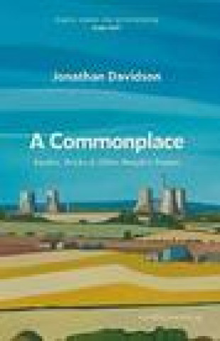 Kniha Commonplace Jonathan Davidson