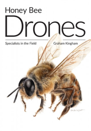 Könyv Honey Bee Drones 