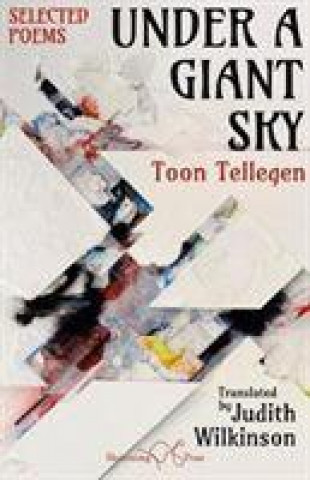 Buch Under a Giant Sky Toon Tellegen
