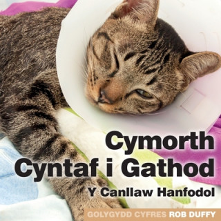 Carte Cymorth Cyntaf i Gathod 