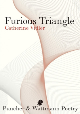 Knjiga Furious Triangle Catherine Vidler