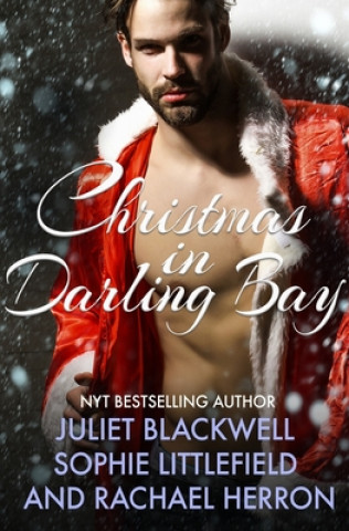 Könyv Darling Bay Christmas Juliet Blackwell