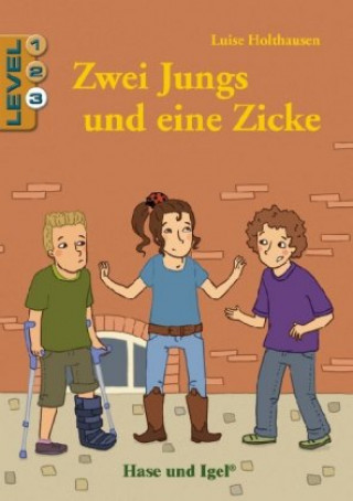 Kniha Zwei Jungs und eine Zicke / Level 3 Luise Holthausen