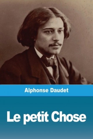 Kniha petit Chose 