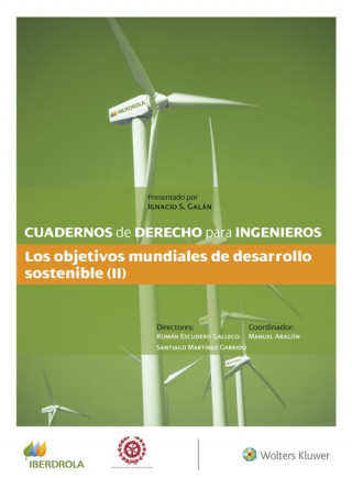 Kniha Cuadernos de Derecho para Ingenieros (n.º 48) MANUEL ARAGON