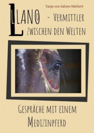 Buch Llano - Vermittler zwischen den Welten Tanja von Salzen-Märkert