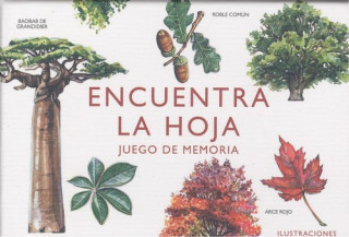 Kniha ENCUENTRA LA HOJA HOLLY EXLEY