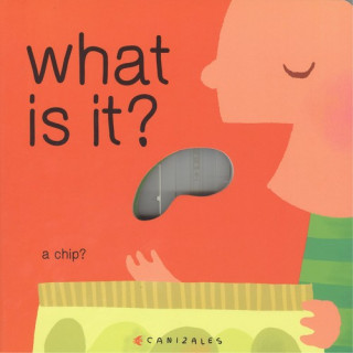 Buch What is it CANIZALES