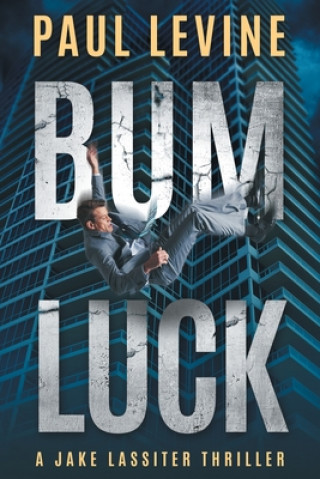 Buch Bum Luck Paul Levine