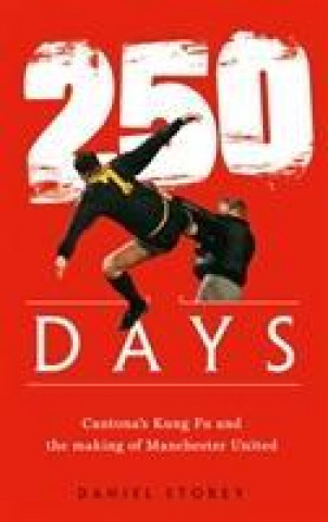 Kniha 250 Days Daniel Storey