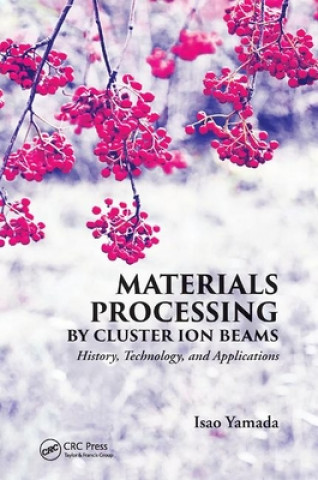 Kniha Materials Processing by Cluster Ion Beams Isao Yamada